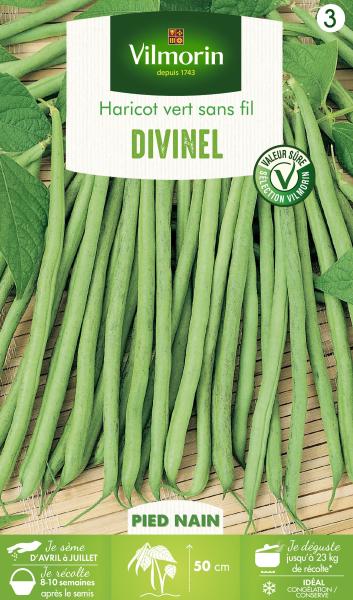 Légumes Secs - Haricot Nain Vert Divinel - PACKAGING_RECTO